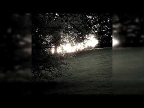 [SOLD] PHARAOH x XXXTENTACION x SHILOH DYNASTY TYPE BEAT - 'больно' | prod.by BXXTLEJUICE |