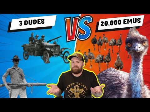 The Great Emu War: What REALLY happened