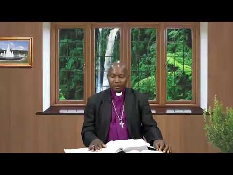 THE DAILY FOUNTAIN OF AUGUST 28, 2017