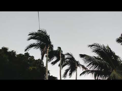 Versos a Pedro - Música em homenagem a dom Pedro Casaldáliga