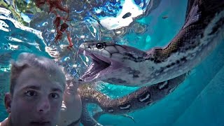 BIT BY A 16 FOOT ANACONDA