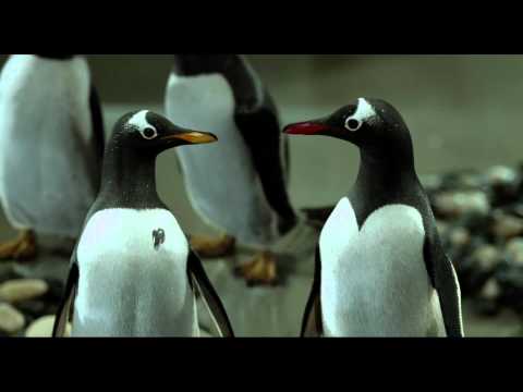 Mr. Popper's Penguins Latest Trailer!