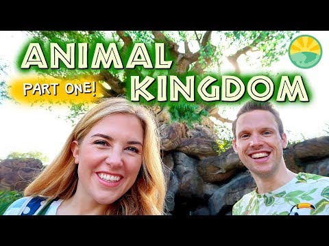 Disney's Animal Kingdom!| Asia and Pandora | Maddie Moate