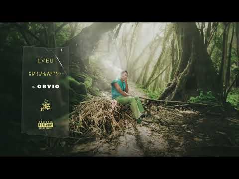 Myke Towers - OBVIO (Visualizer)