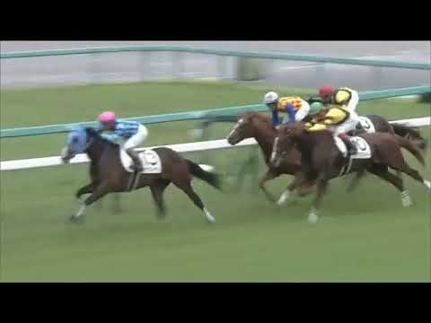 2020.06.28 2yo Newcomer (JPN) - Danon the Kid