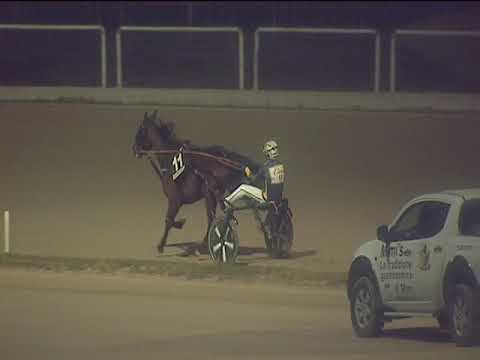 Trotto 28/12/2018 - 5ª corsa