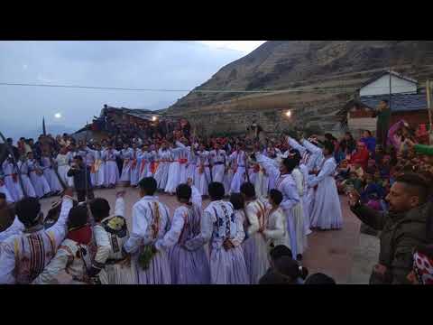 Budi diwali bayala 2017