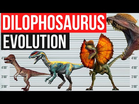 Dilophosaurus Evolution 1993 - 2022 | Jurassic World Dominion, Jurassic Evolution