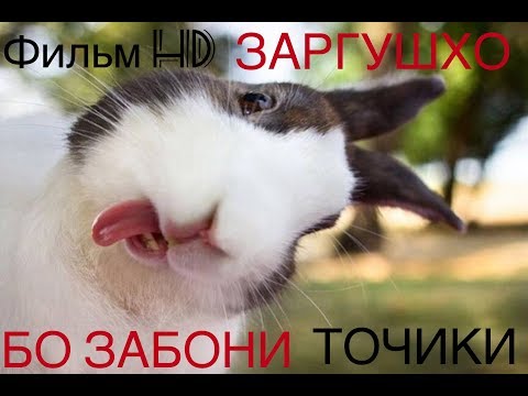 КИНО - ХАРГУШХ,О БО ЗАБОНИ ТОЧИКИ HD | Фильм Зайчики с ТАДЖИКСКИМ Переводом HD