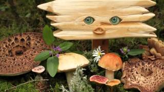 Destroyer   Times Square