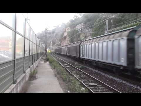 MERCI COL TIGRE A SCILLA!