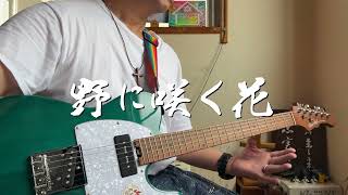 野に咲く花　ギター弾き語り賛美