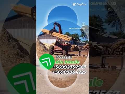 POSTES RIO MAULE #polines #postes #maria #cabezales #viral