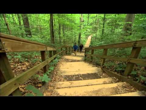 Metro Parks Special 2015