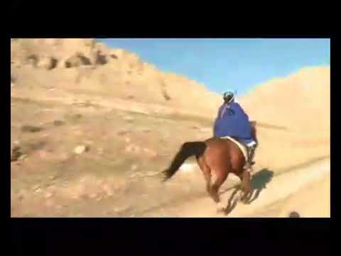 Mahtab babaheydari.مهتاب باباحیدری