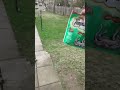 HOW TO FIND YOUR LOST CAT