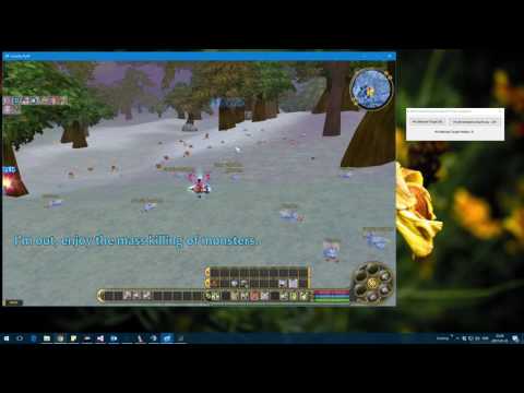 Insanity Flyff - Super Killer Hack