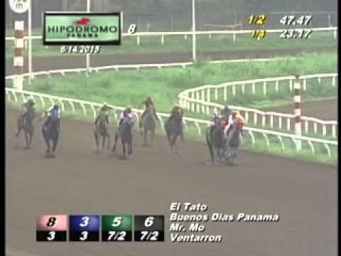 8VA CARRERA DOMINGO 14 DE JUNIO DEL 2015 HPR