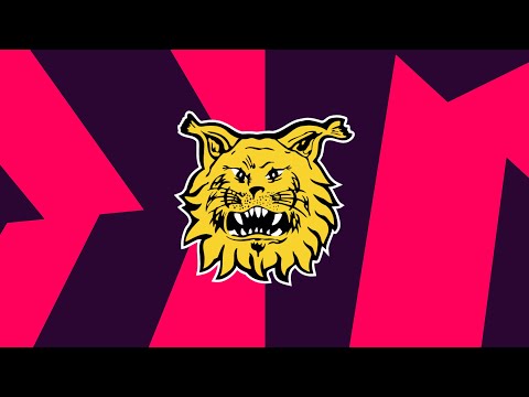 Meet the Teams 2025/26 | Ilves Tampere