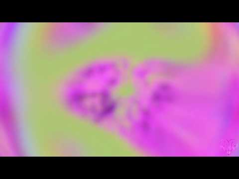 Elephant Heart - The Digital (The Funk Hunters + Defunk Remix)