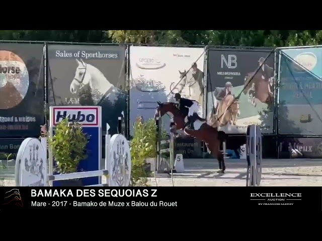 BaMAKA DES SEQUOIAS Z - Show