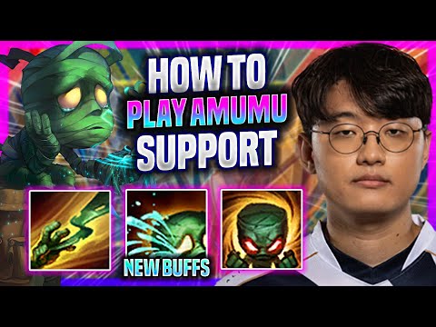 LEARN HOW TO PLAY AMUMU SUPPORT LIKE A PRO! *NEW BUFFS* - TL Corejj Plays Amumu Support vs Karma! |