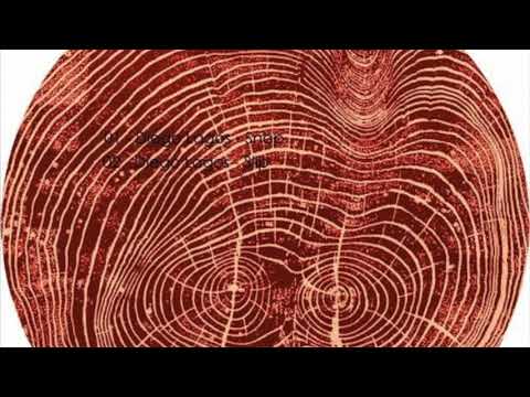 Diego Lagos - Slip (Original Mix) [Psicodelica]