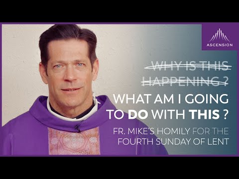 "Whose Fault Is Suffering?" + 4th Sunday in Lent (Fr. Mike's Homily)