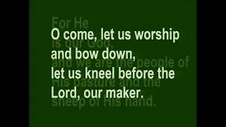 July 31, 2022 – 8th Sunday after Pentecost