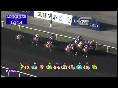 03.01.2013 Meydan (Dubai-UAE) 4.Race Baileys Cup - 1.400 m