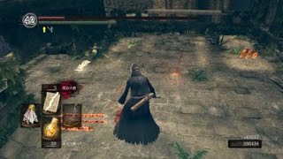 ダークソウルリマスター　奇跡VS呪術