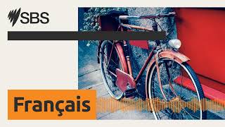 SBS French : Le LIVE du Samedi 25/10/2025 | SBS French - SBS en français