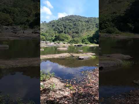 #viral #alagoas #viçosa