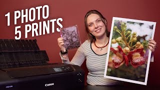 1 Photo, Printed 5 Ways (+Bonus Technique!)