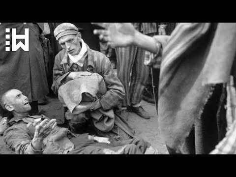 Ruthless persecution and torture of Gay Men under Nazi Regime - Nazi Germany