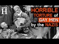 Brutal Torture of Gay Men under Nazi Regime - Nazi Germany