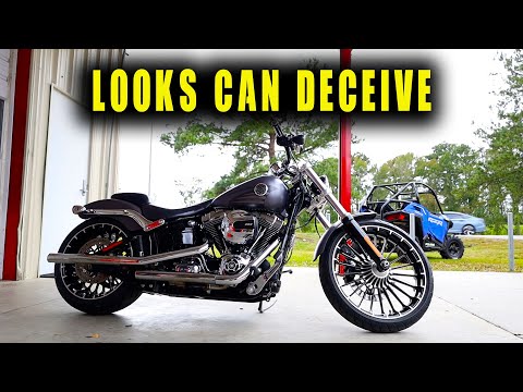 The Harley Breakout Is Deceivingly Awesome
