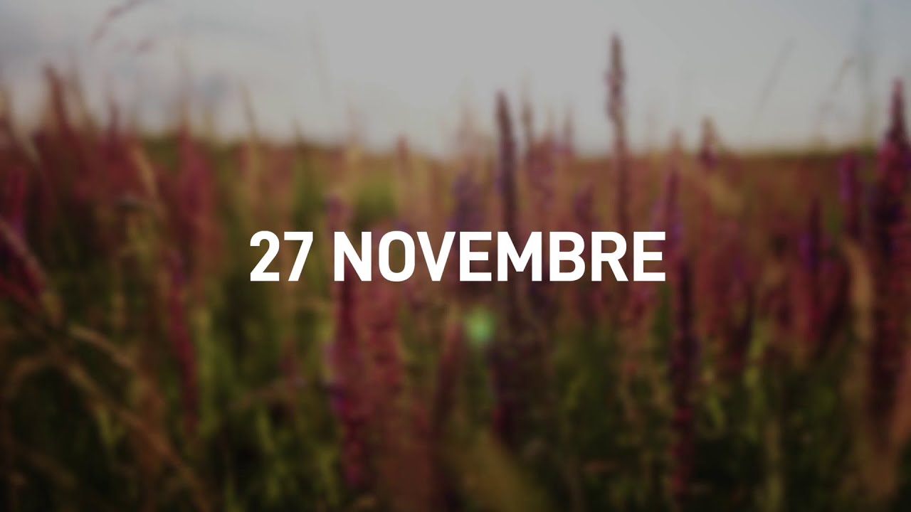 27 Novembre 2025 | Meditazione Parole di Vita