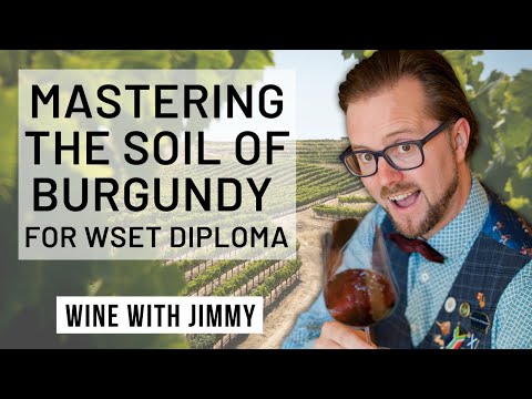 WSET Level 4 Diploma Burgundy Part 3 Geology