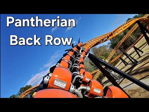 Back row point of view footage of Pantherian