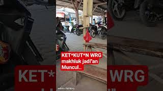 Download lagu MEMAKAN KO*R*AN.. mp3