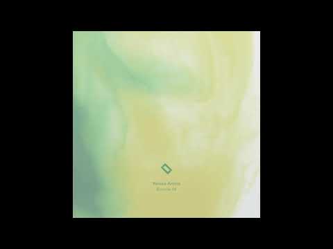 MNMT Premiere : Bass Dobbelaer - Between Phases