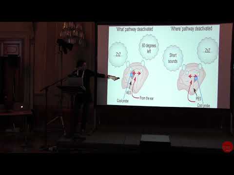 Oral Session 2: AUDITORY ENVIRONMENT - Part 3