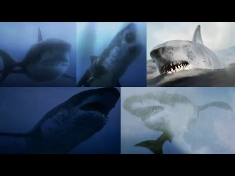 Mega Shark Versus Kolossus [2015] - Mega Shark / Megalodon Screen Time