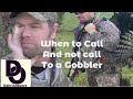 When To Call And Not To Call To A Gobbler During A TURKEY HUNT