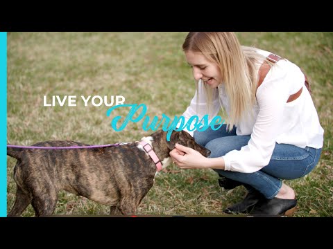 Witness21 Editor  2021 04 28