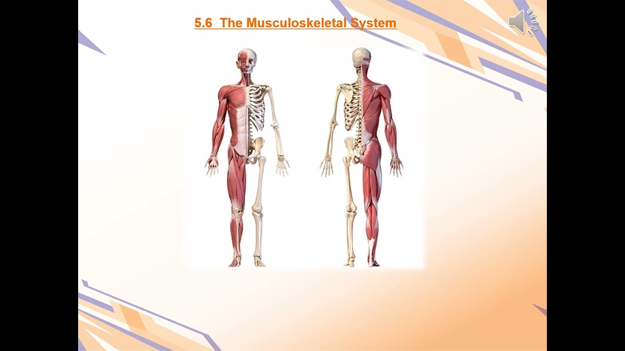 07 Uni Life Basic First Aid introduction information 2025