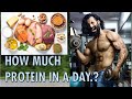 HOW MUCH PROTEIN YOU SHOULD EAT | Jitender Rajput #jitender_rajput_official #protein #youtube