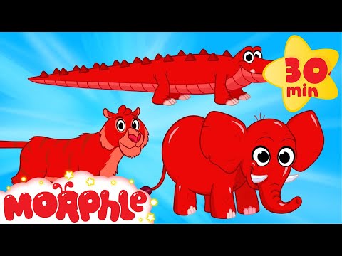 Cute Scary Animal Videos With Morphle  - My Pet Tiger, My Pet Crocodile, My Pet Elephant