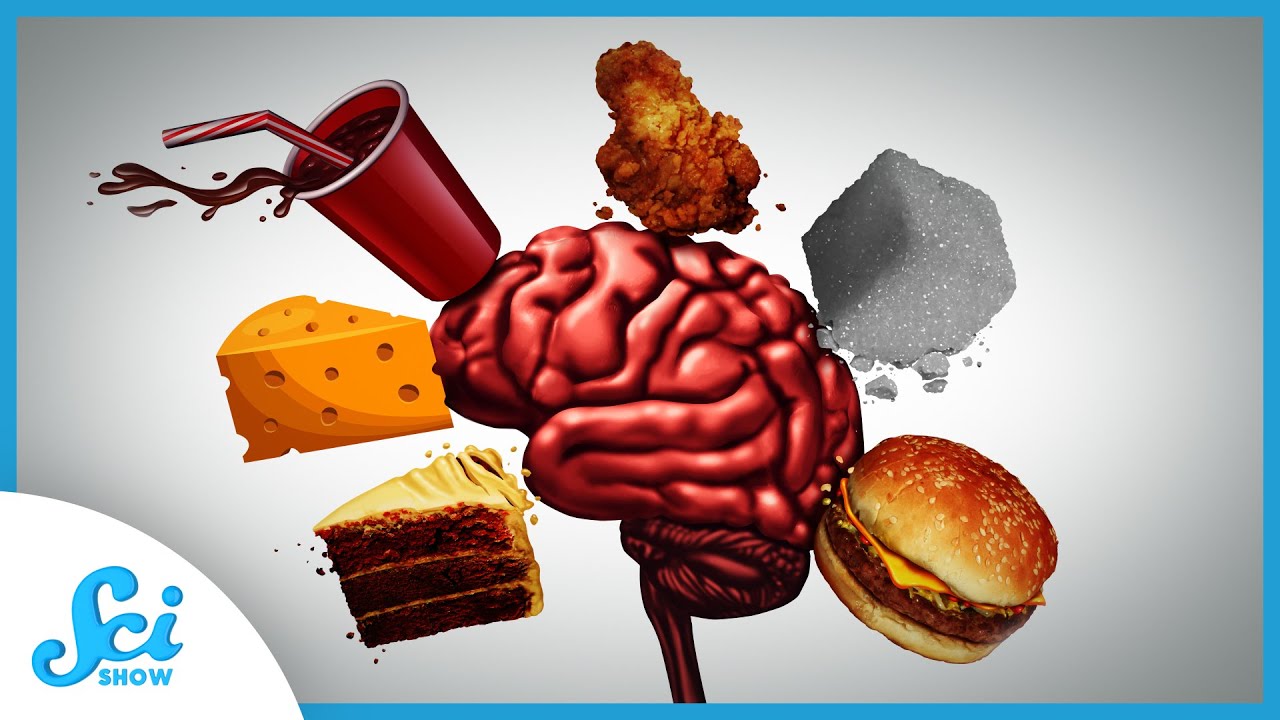 This Is Your Brain On Food | Compilation